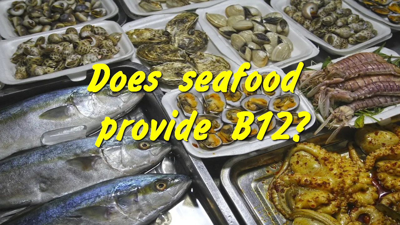 Does seafood provide B12?